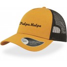 color:mustard/black